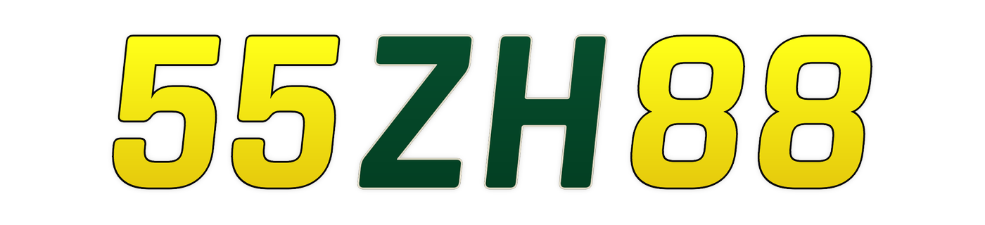 55zh88